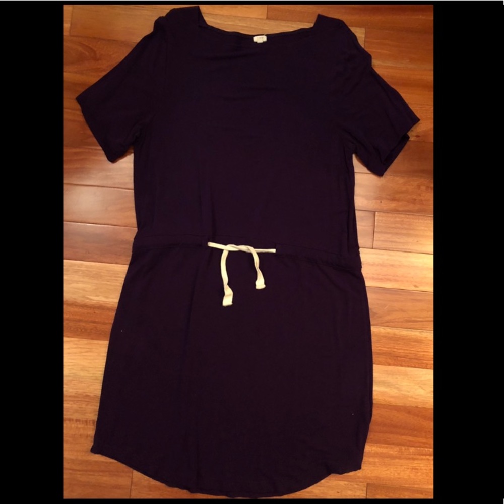 Purple J. Crew Drawstring Dress (M)